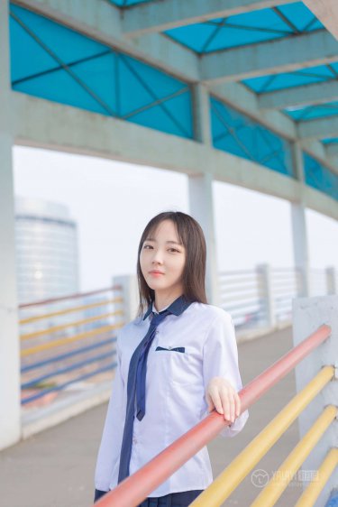 新太极宗师