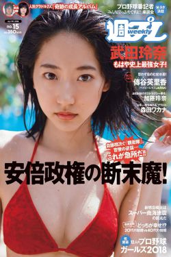 织补技术套装