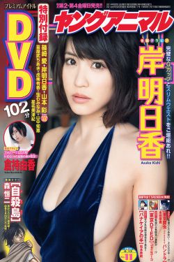 蝴蝶传媒4.3.5黄